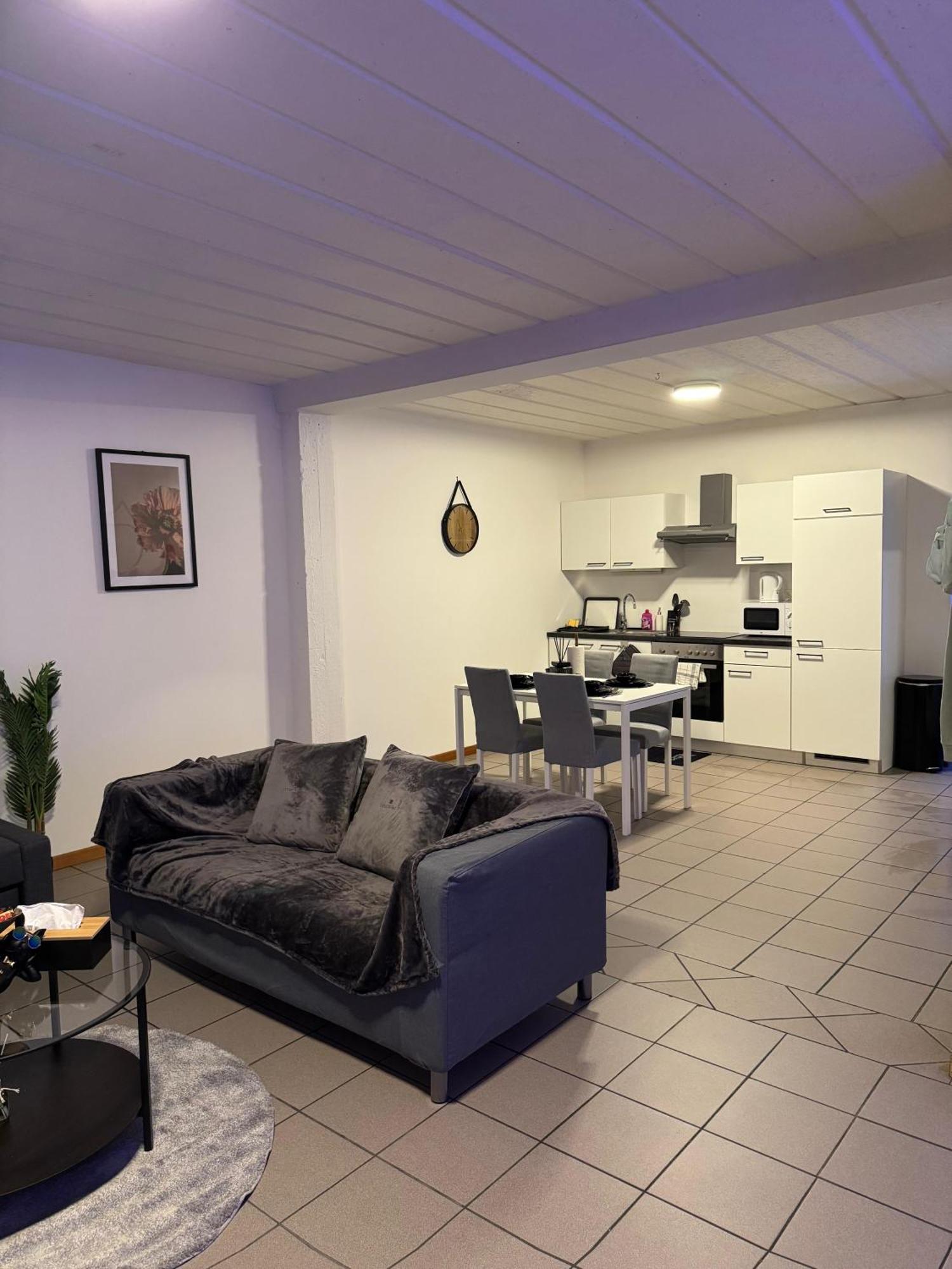 De Luxe Entierement Renove - Proche Aeroport De Bruxelles, Quartier Chic Bruxelles